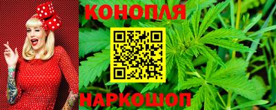 сатива Можга