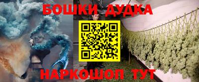 сатива Можга